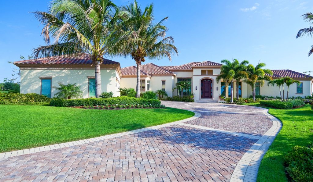 Tree Care Services in Oldsmar, FL