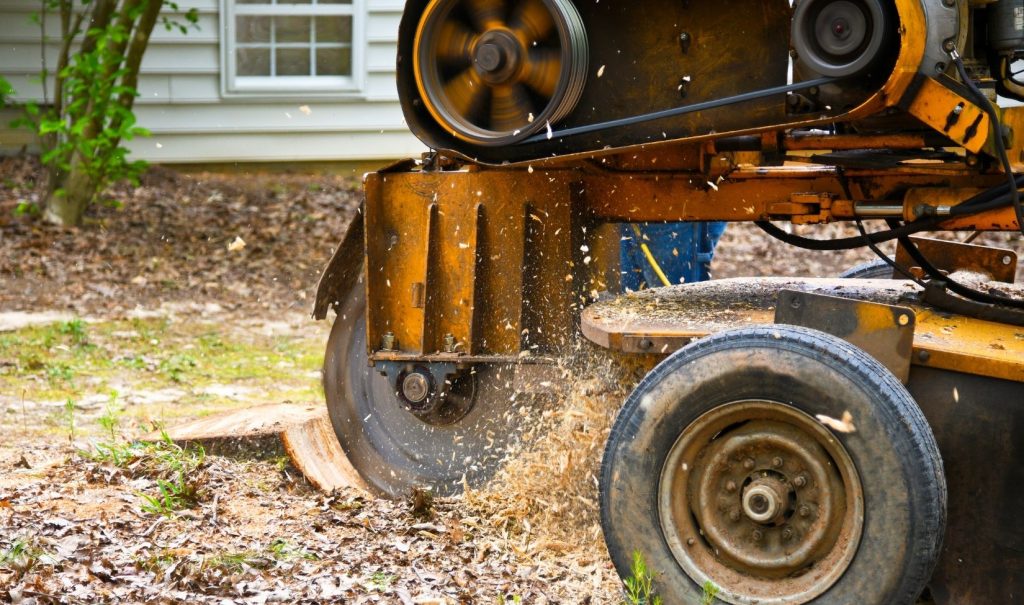 Stump Removal in St. Petersburg